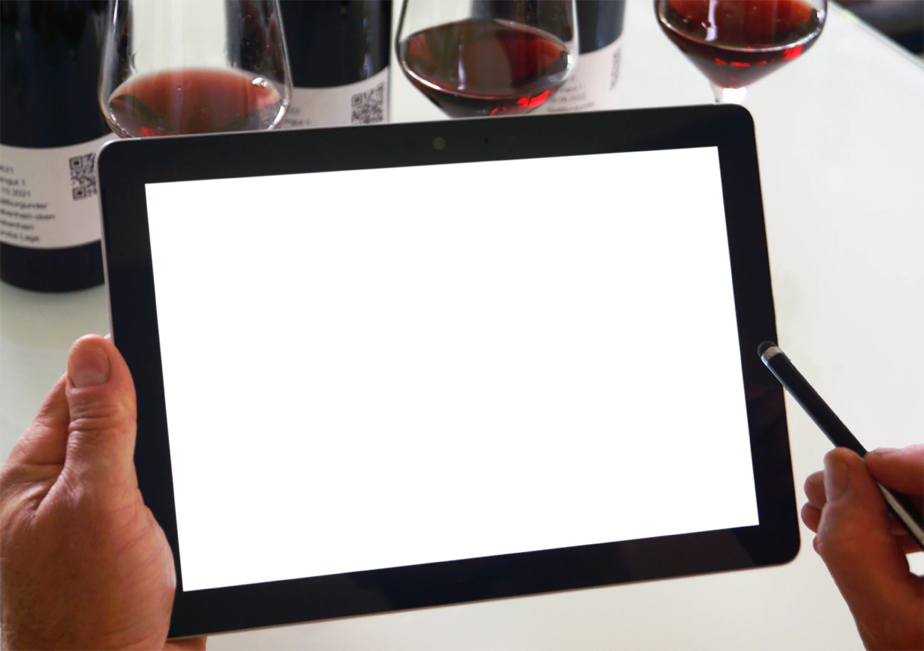 Videvitis Desktop App